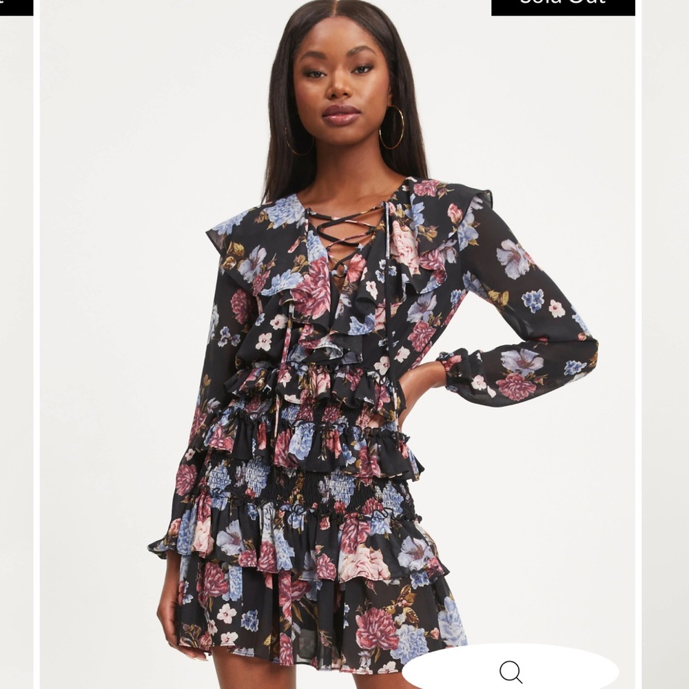 Vici Dress - All the Frills *BNWT* size Medium